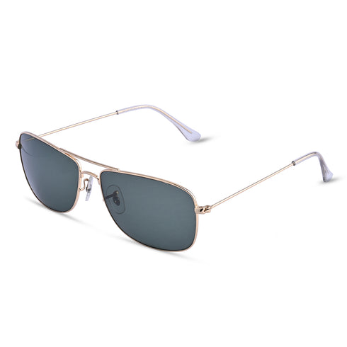 Vogily Eyewear- Collins